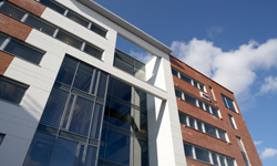 Business Park Falcon