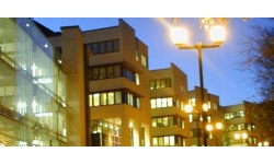 Stella Business Park